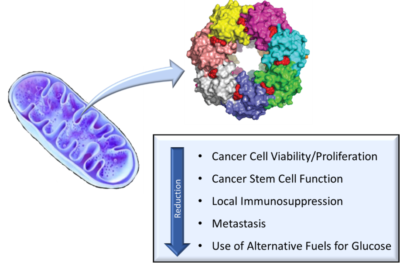 Protein Structure